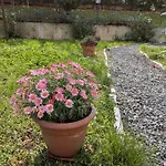 Il Giardino Segreto 萨沃纳