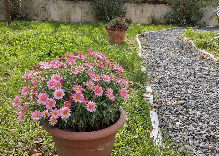 Il Giardino Segreto Savona